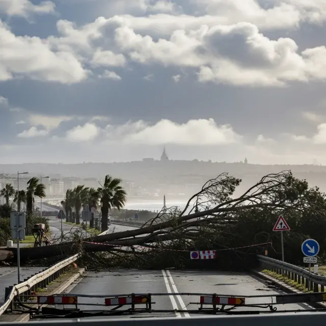 Storm Pedro veroorzaakt grote schade aan Atlantische kust en in Bordeaux
