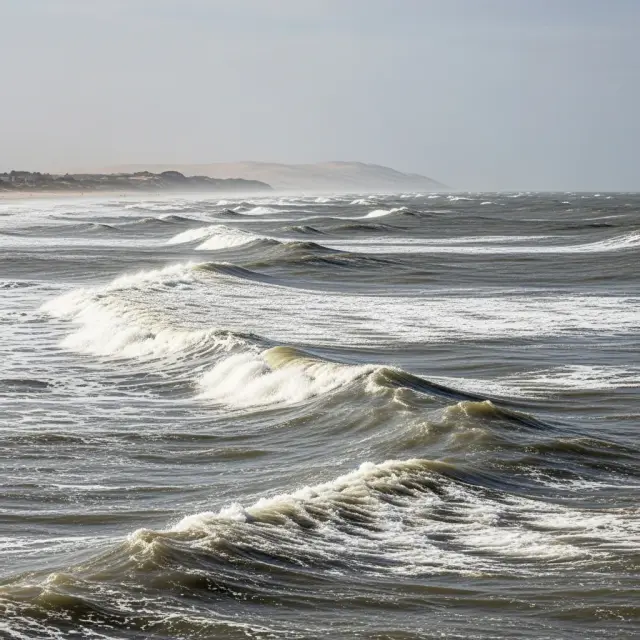 Banc d’Arguin bij Arcachon in versneld tempo bijna verdwenen: zichtbare gevolgen voor natuur en recreatie