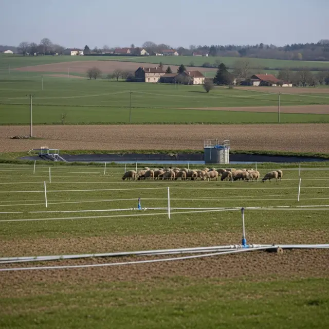 Franse regering bevestigt wetgevingsplanning voor noodwet landbouw, inclusief watermaatregelen en wolfpreventie